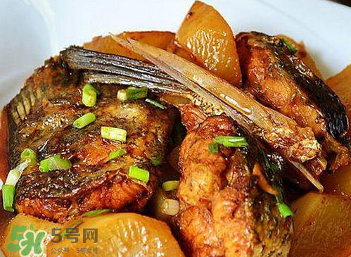 鱸魚可以紅燒嗎？鱸魚清蒸還是紅燒好吃？