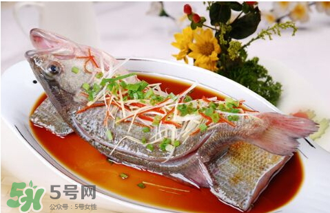 鱸魚為什么沒有刺？鱸魚為什么刺少？