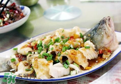 鱸魚為什么沒有刺？鱸魚為什么刺少？