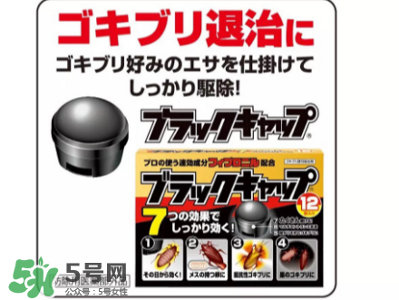 日本蟑螂藥好用嗎？日本蟑螂藥效果評測