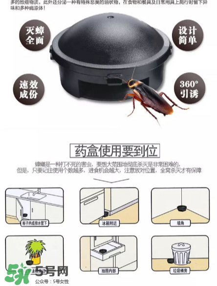 日本蟑螂藥好用嗎？日本蟑螂藥效果評測
