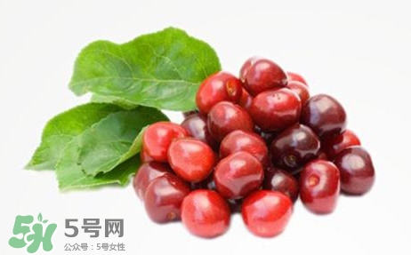 蔓越莓什么時候成熟？蔓越莓什么時候吃最好