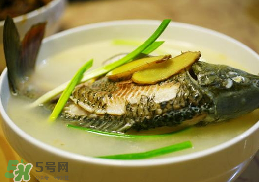 鯉魚湯怎么做好吃？鯉魚湯里面可以放什么？