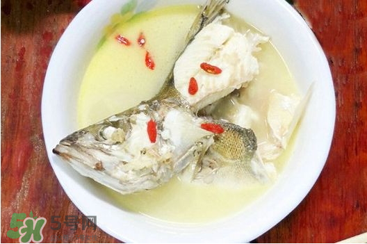 鯉魚湯怎么做好吃？鯉魚湯里面可以放什么？