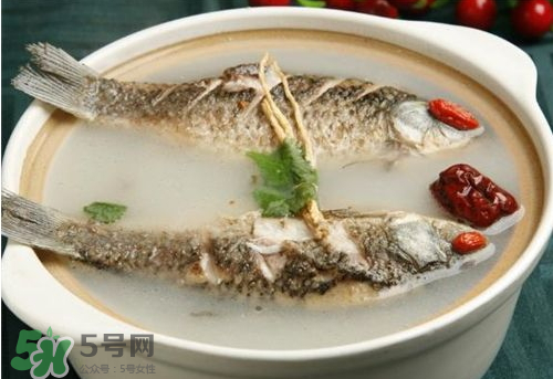 鯽魚湯下奶嗎？鯽魚湯的功效與作用