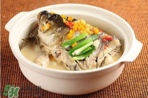 青魚湯怎么做好吃？青魚湯的功效與作用