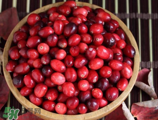 蔓越莓什么時候成熟？蔓越莓什么時候吃最好