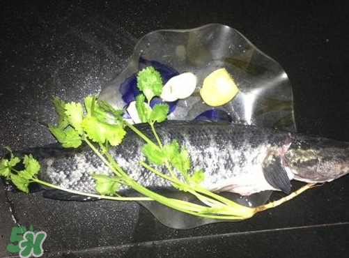 黑魚(yú)湯對(duì)傷口有好處嗎？黑魚(yú)湯的做法術(shù)后恢復(fù)