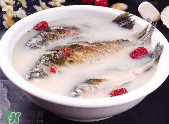 鯽魚湯里可以放什么菜最好？鯽魚燉湯放什么菜？