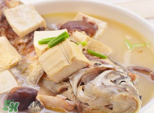 鯽魚湯可以放香菇嗎？香菇鯽魚湯的做法