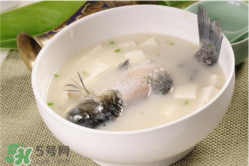 喝鯽魚湯會胖嗎？鯽魚湯可以經(jīng)常喝嗎？