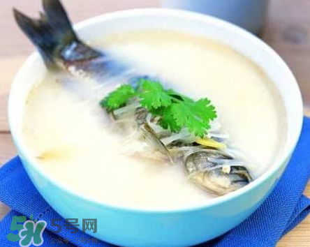 鯽魚(yú)湯可以放牛奶嗎？牛奶鯽魚(yú)湯的做法