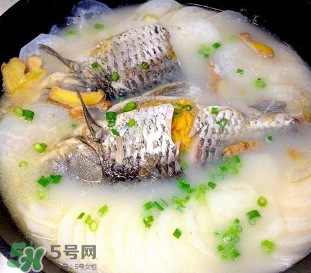 鯽魚(yú)湯可以放牛奶嗎？牛奶鯽魚(yú)湯的做法