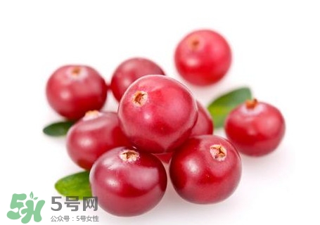 蔓越莓在中國有嗎？蔓越莓怎么辨別真假