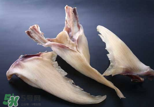 干魚(yú)翅怎么保存？魚(yú)翅可以放多久？