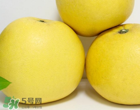 蜜柚是哪個季節(jié)的水果？蜜柚和沙田柚的區(qū)別是什么？