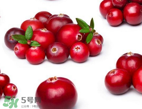 蔓越莓是藍(lán)莓嗎？蔓越莓是哪里產(chǎn)的