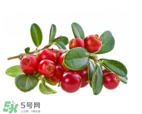 蔓越莓在中國有嗎？蔓越莓怎么辨別真假