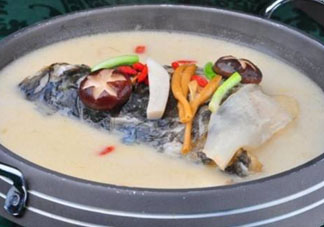 鰱魚湯怎么熬湯？鰱魚湯的功效與作用
