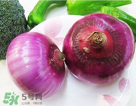 洋蔥狗狗能吃嗎？狗狗吃了洋蔥怎么辦？