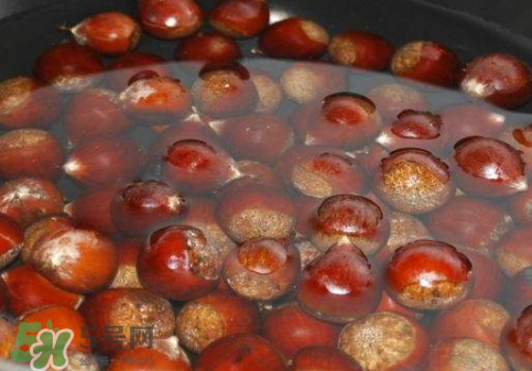 板栗用冷水還是熱水煮？煮板栗用冷水還是熱水？