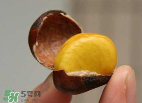 板栗用冷水還是熱水煮？煮板栗用冷水還是熱水？