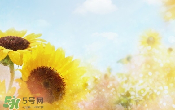 見封滾是什么意思？