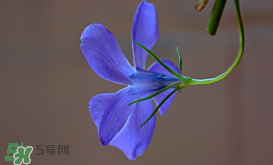 見封滾是什么意思？