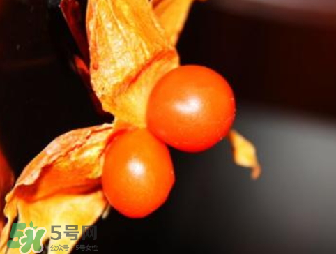 紅姑娘皮泡水治咽炎嗎？紅姑娘皮泡水的副作用
