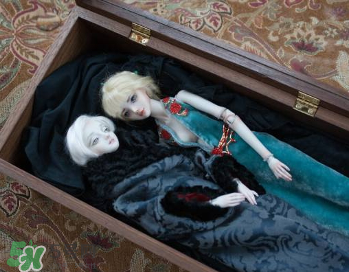 Enchanted Doll多少錢？Enchanted Doll哪里買？