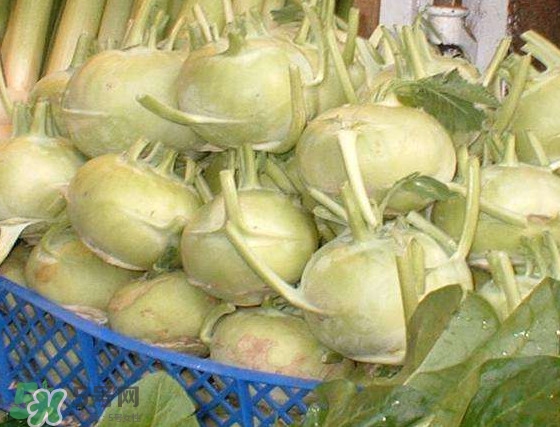 苤藍怎么腌制好吃？苤藍有什么營養(yǎng)