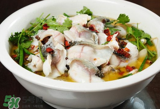 水煮魚可以放什么蔬菜？水煮魚可以放香菇嗎？