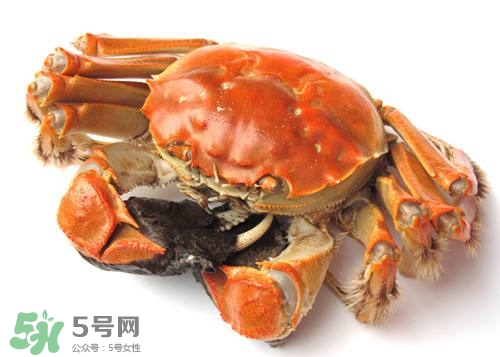 螃蟹里面有寄生蟲嗎？螃蟹有寄生蟲還可以吃嗎？