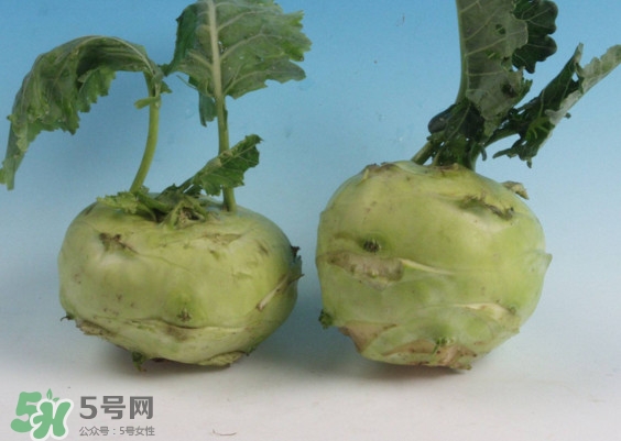 苤藍怎么讀？苤藍孕婦可以吃嗎