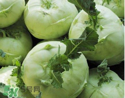 苤藍什么季節(jié)種植？苤藍什么時候采收