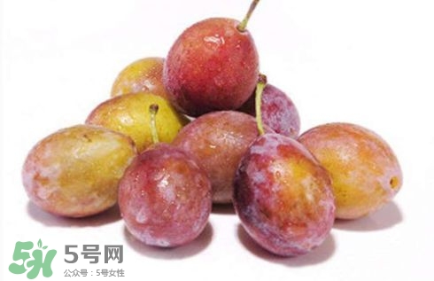 西梅可以放冰箱嗎？西梅放冰箱冷藏還是冷凍？