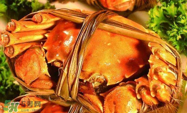 螃蟹吃什么食物長得大？十月份吃什么螃蟹？