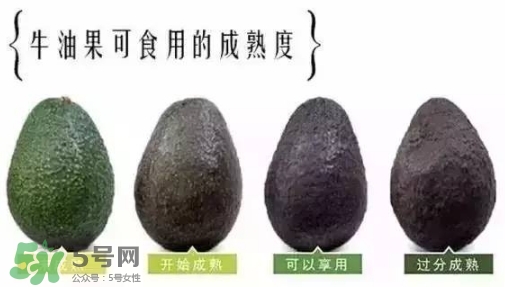 牛油果是什么味道？牛油果是甜的嗎？