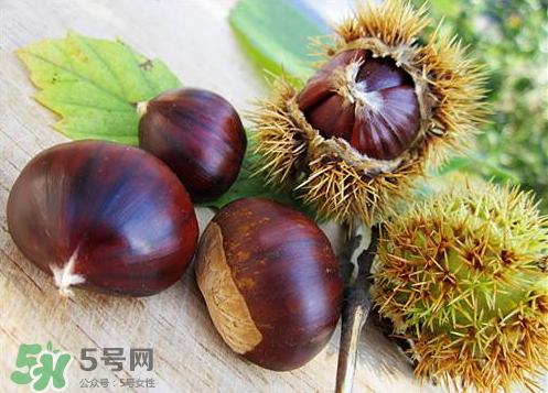 泡板栗酒用什么酒最好？板栗用什么酒泡最好？