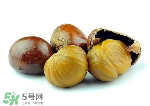 板栗酒每次喝多少合適？板栗泡酒一次喝多少？