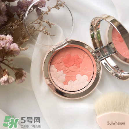 雪花秀腮紅多少錢？雪花秀腮紅價(jià)格
