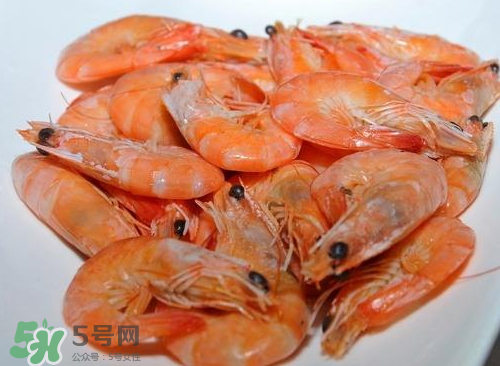 水煮蝦用什么蝦？水煮蝦要放鹽嗎？