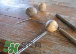 牛油果核能吃嗎？牛油果核怎么種盆栽？