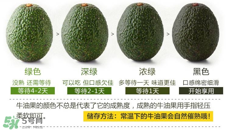 牛油果生的能吃嗎？牛油果怎么催熟快？