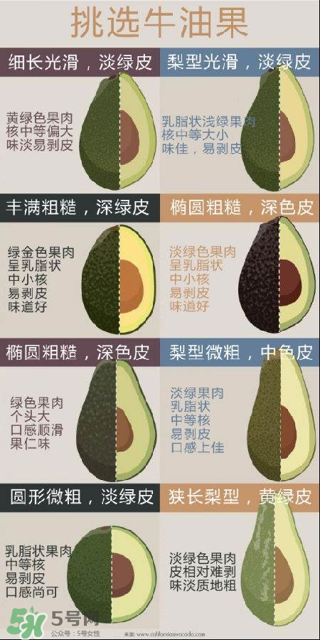 牛油果怎么挑選？牛油果多少錢一斤？