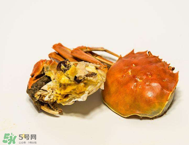 哪種螃蟹有蟹黃？哪種螃蟹蟹黃最多？