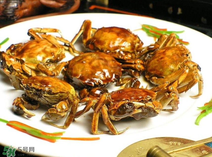 哪種螃蟹肉多？哪種螃蟹最好吃？