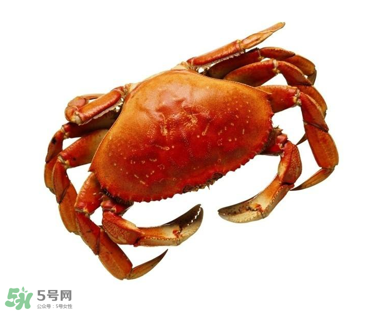哪種螃蟹不能吃？什么樣的螃蟹不能吃？
