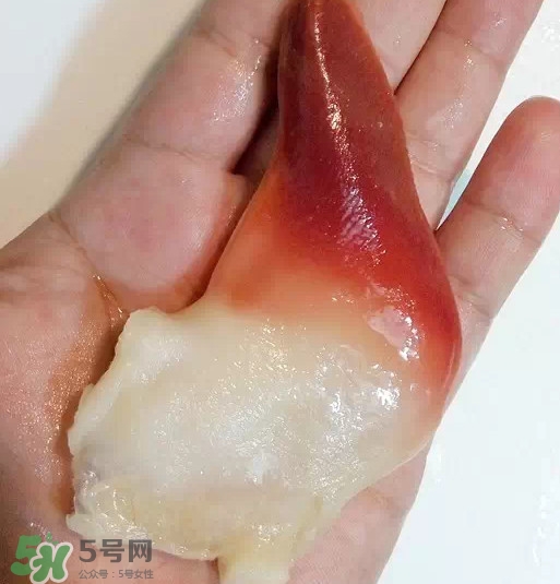 北極貝多少錢(qián)一斤？北極貝長(zhǎng)什么樣子
