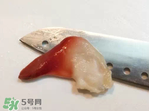 北極貝多少錢(qián)一斤？北極貝長(zhǎng)什么樣子